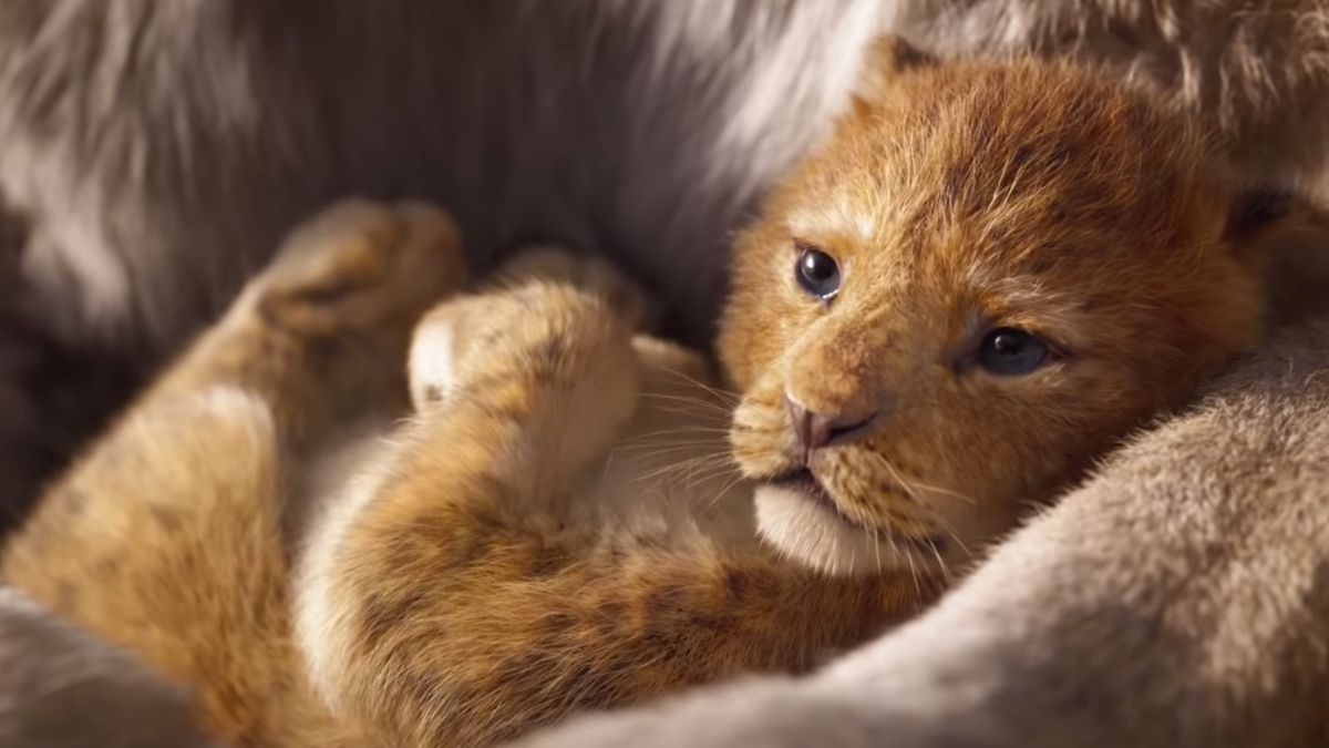 Zwiastun nowego ”Króla Lwa” pokazuje fotorealistyczne zwierzęta 1