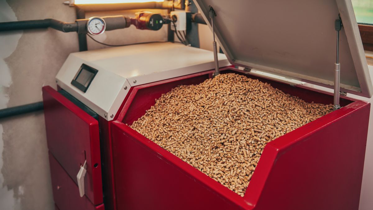 pellet, stove, energy, power, fuel, heat, fire, alternative, ecological, burn, natural, winter, wooden, economy, ecology, pellets, green, recycling, nature, biomass, wood, fireplace, environment, compressed, material, timber, mass, home, modern, industry, granule, cylinder, consumption, environmental, equipment, technology, nobody, furnace, central, domestic, environmentally, season, pellet stove, houseworks, technological, comfort, efficiency, savings, automatic