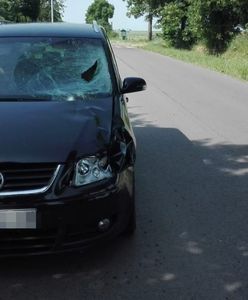 Makabra pod Zamościem. Zabił 14-latkę