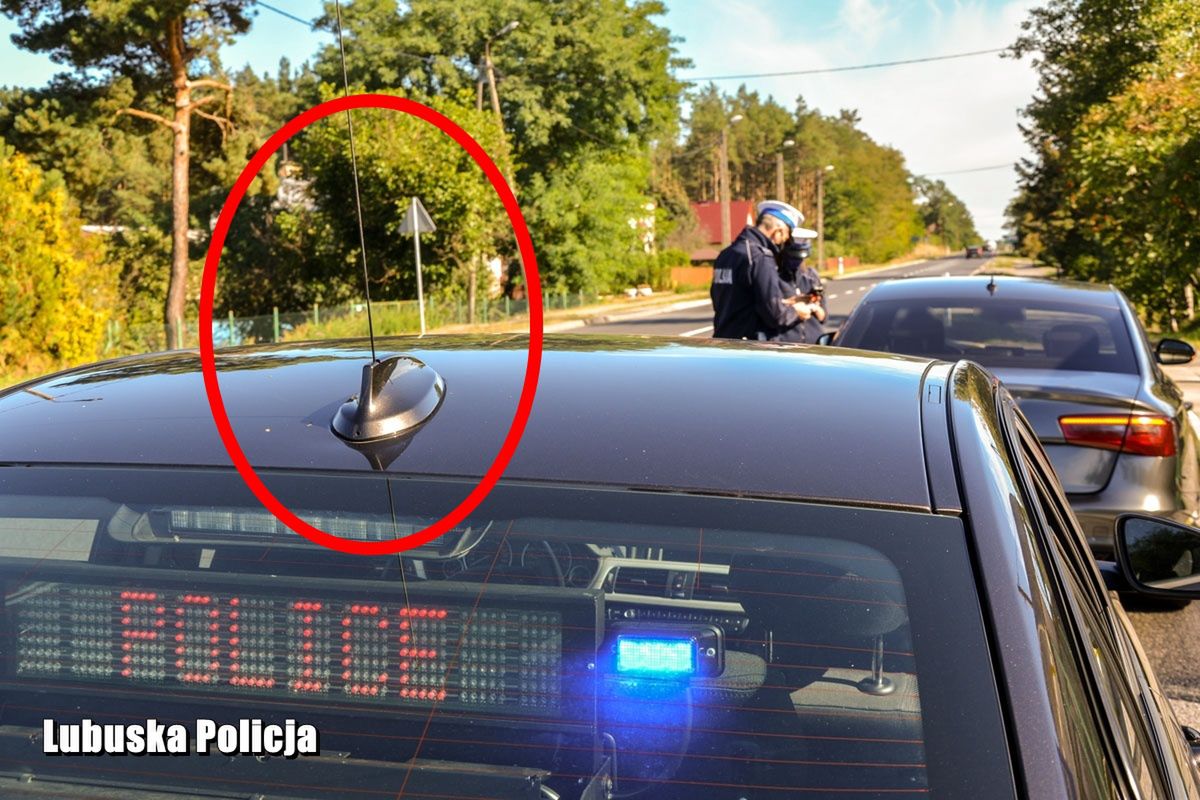 Kilka kluczowych detali. Po tym rozpoznasz nieoznakowany radiowóz