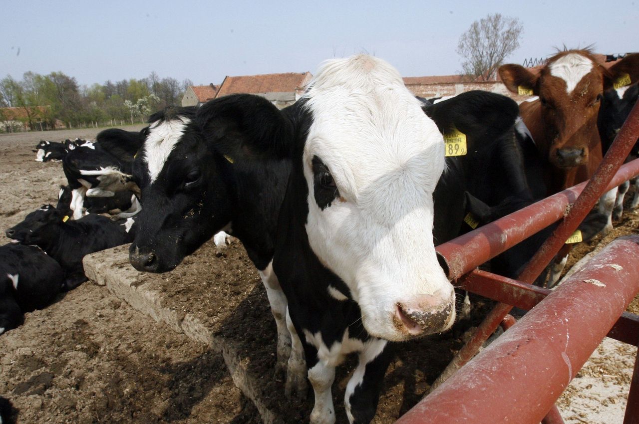 Nie wszędzie są cięcia. Te płatności dają więcej niż w 2024 r.