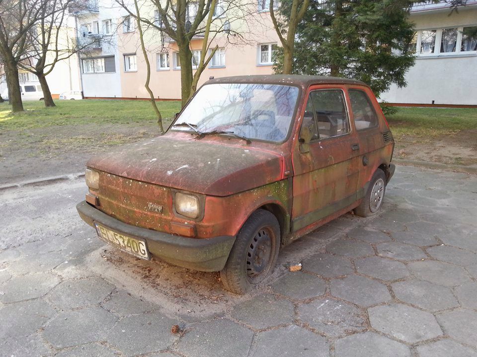 Obraz