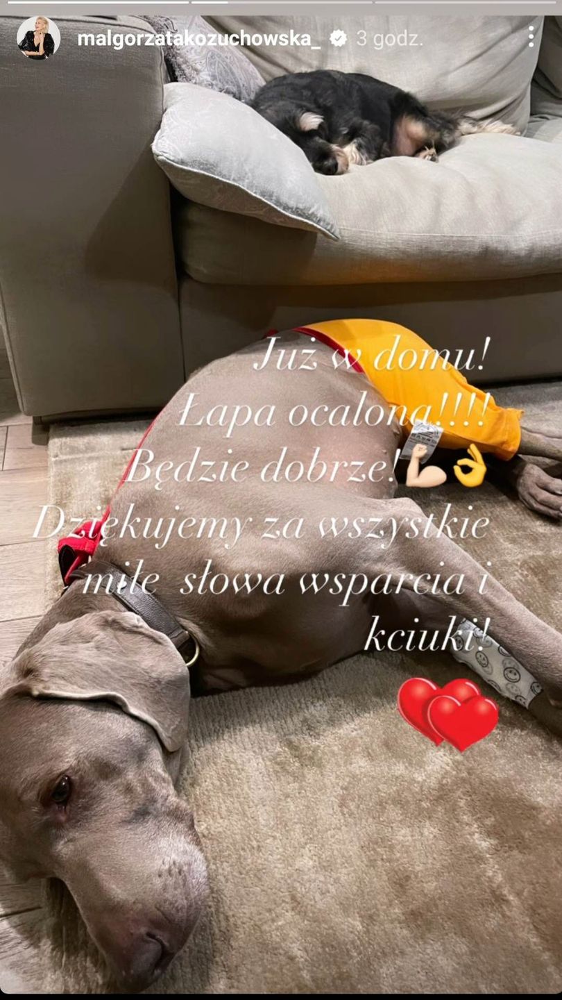 Małgorzata Kożuchowska o problemach zdrowotnych psa