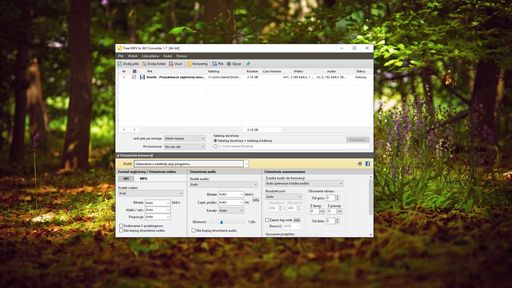Pazera Free MKV to AVI Converter