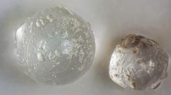 Kosmiczne perły. Przypadkowe odkrycie w USA