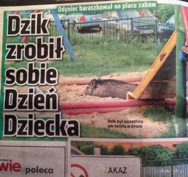Memy na Dzień Dziecka 2024 (Internet)