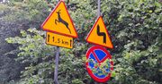 Łódź: Chaos na ul. Wycieczkowej. Giną zwierzęta, piesi zagrożeni