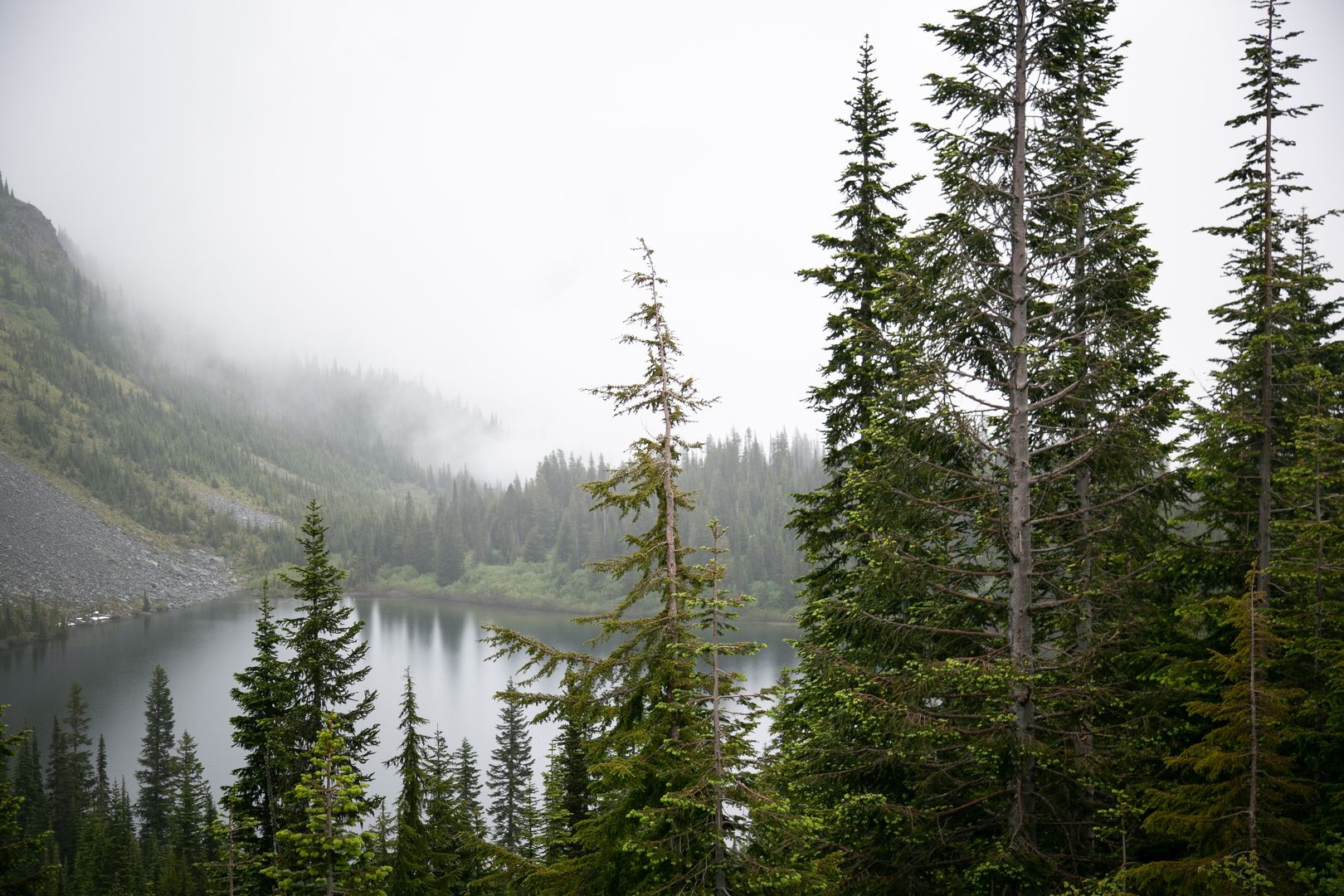 Park Narodowy Mount Rainier w USA.