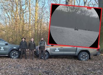 Kontrolują lasy. Oto, co kobieta zrobiła w nocy. Została ukarana dwoma mandatami