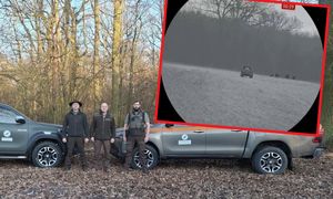 Kontrolują lasy. Oto, co kobieta zrobiła w nocy. Została ukarana dwoma mandatami