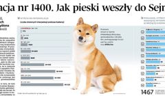 Dziennikarska prowokacja „Dziennika Gazety Prawnej” z psami shiba w roli głównej. Nabrała się grupa parlamentarzystów z Trzeciej Drogi