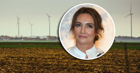 Polenergia oficjalnie otwiera swoją największą farmę wiatrową. Wyrosło 55 wiatraków
