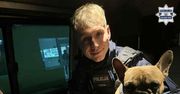 Przywiązany do drzewa i pozostawiony na mrozie. Policjanci uratowali porzuconego psa w centrum miasta