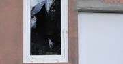 Długosiodło: Włamał się do remizy,ukradł 13 butelek alkoholu
