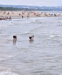 Sinice 2022. Kąpieliska w Gdyni i Sopocie już otwarte. Aktualna mapa sinic [17.08.2022]