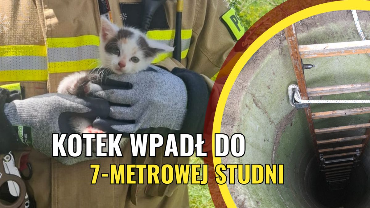 Kot, strażacy