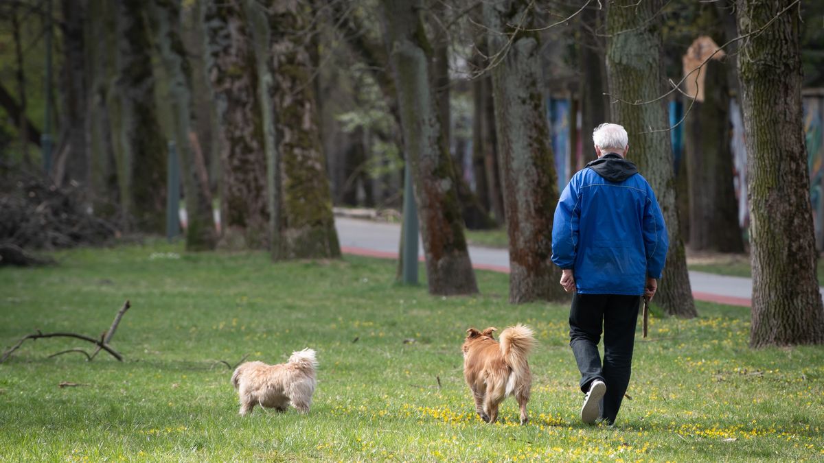 Grzegorz Micha�owski
park, poniedzia�ek, spacer, spacerowicze, wiara, Wielkanoc, wypoczynek, Na Zdrowiu, najwi�kszy, zabytkowy, pies, spacer z psem, zwierz�ta, Poniedzia�ek Wielkanocny