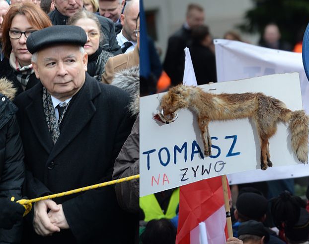 WYPCHANY LIS na Marszu Prawa i Sprawiedliwości (FOTO) 