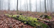 Łódź: Prognoza pogody na sobotę. To już koniec ciepłej jesieni?