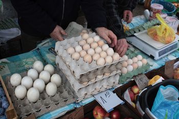 Czekają nas drastyczne podwyżki cen jaj przed Bożym Narodzeniem
