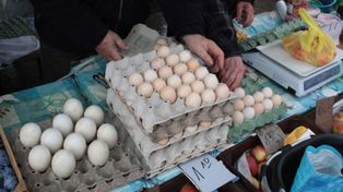 Czekają nas drastyczne podwyżki cen jaj przed Bożym Narodzeniem