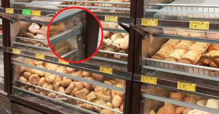Kupujesz bułki w Biedronce? Przyjrzyj się najniższej szufladzie