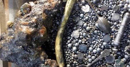 Niesamowite odkrycie archeologów na Cape Cod. Nie uwierzysz czyje to kości