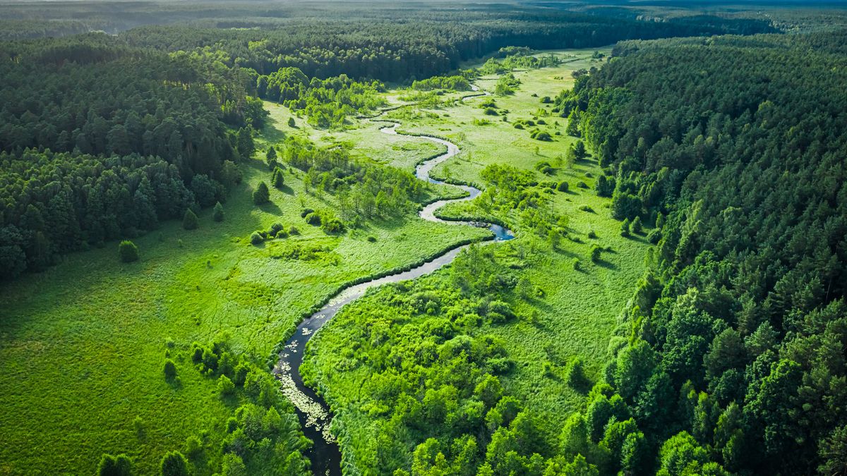 W Polsce nie brakuje miejsc, w których można zrelaksować się na łonie natury 