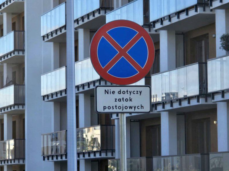 Zdjęcie 5 z 5