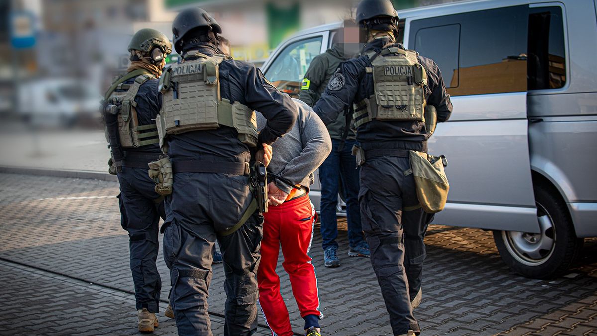 Policja rozbiła groźny gang sutenerów, działający także podczas pandemii.