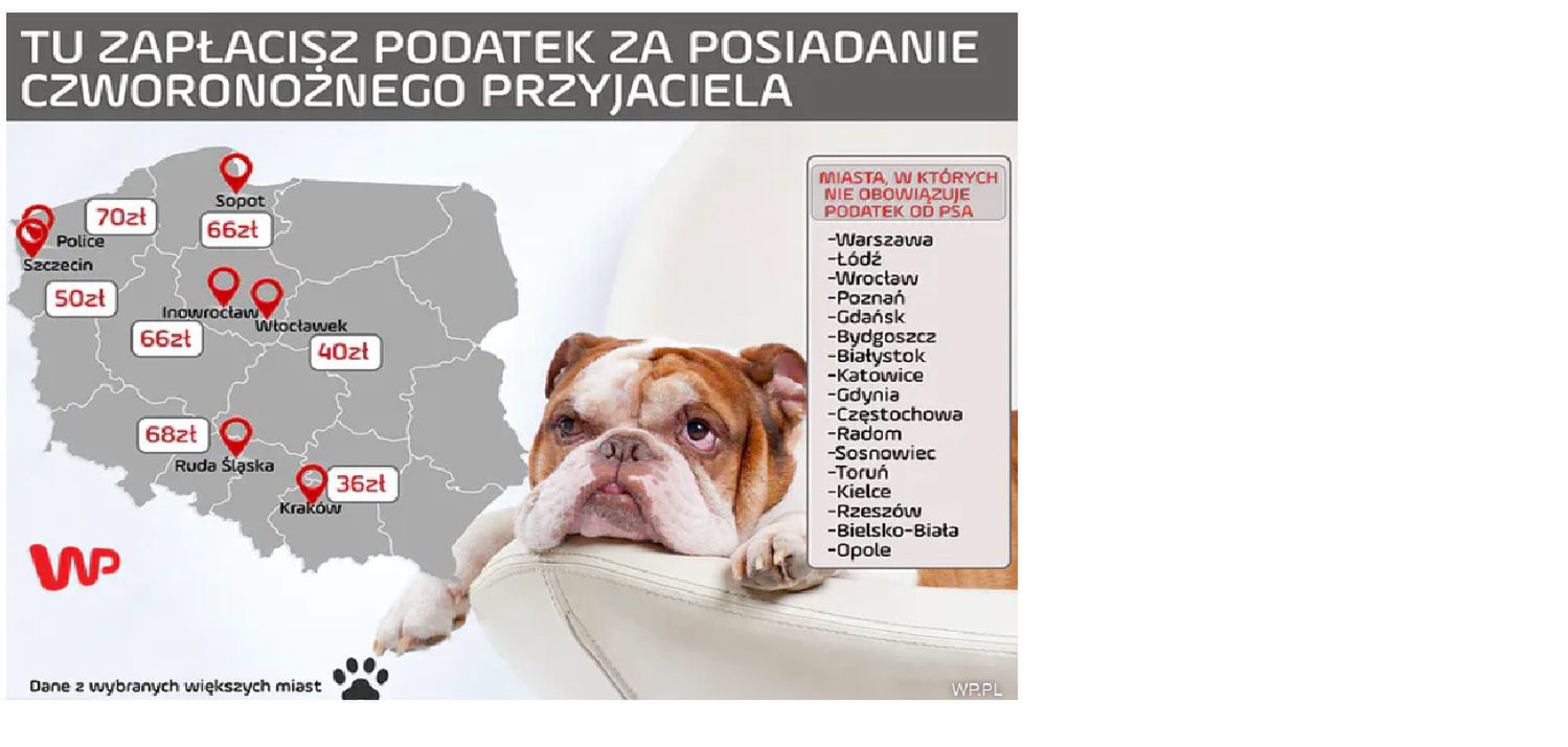 Bardzo wiele samorządów zrezygnowało z pobierania podatków od psa. Zorientuj się w swoim urzędzie gminy, czy musisz płacić