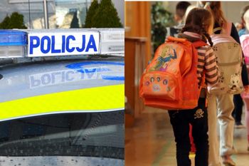 Próbowali wciągnąć dziewczynkę do busa. Są w rękach policji