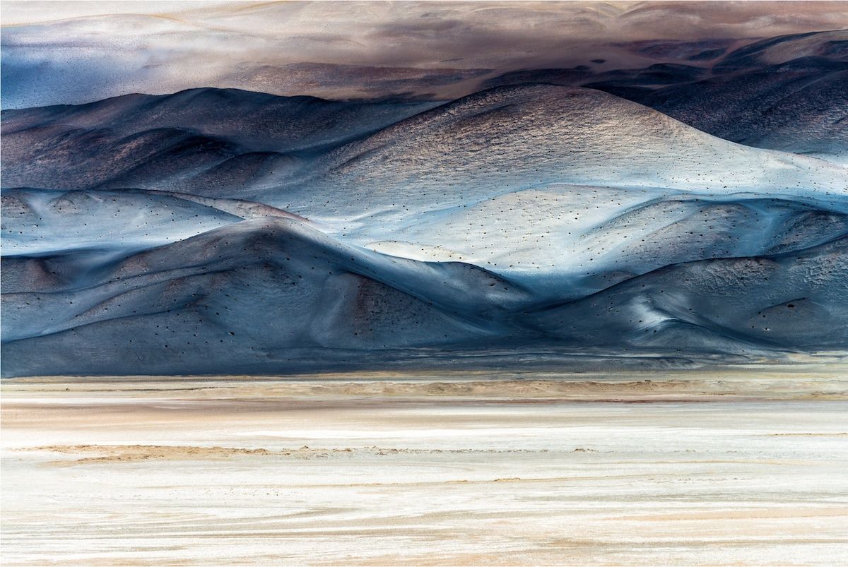 Genialne zdjęcia przyrodnicze w konkursie BigPicture Natural World. Polak wyróżniony 3