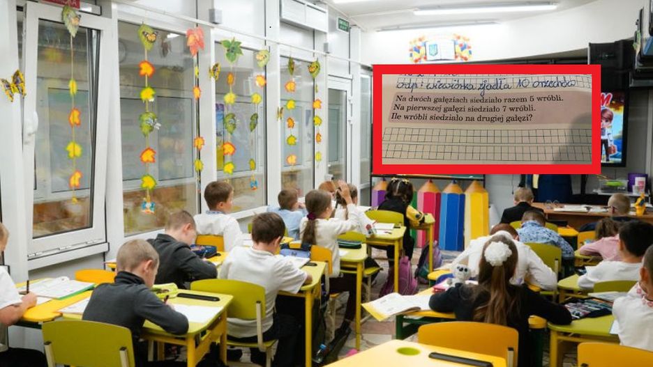 Internauci nie podołali zadaniu z matematyki. "Wróble z antymaterii"