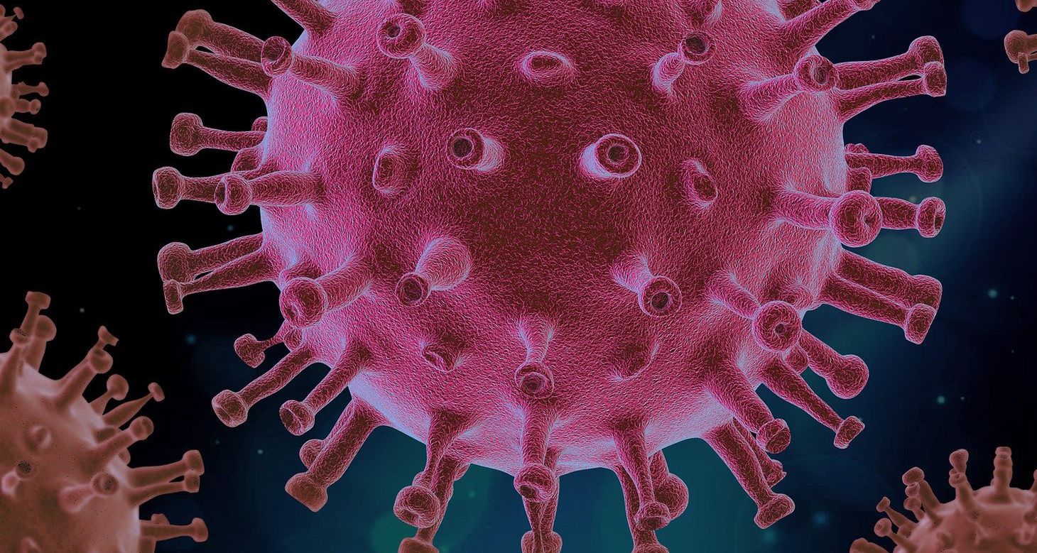 Nowy szczep wirusa w Chinach. Pochodzi od świń. "Może wywołać pandemię"
