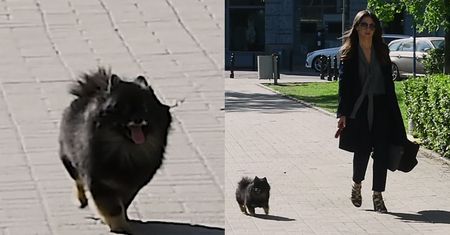 Czarek Lis szaleje na widok paparazzi (WIDEO)