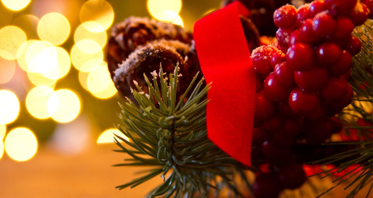 Jemioła w domu może być trująca. Uważaj na psy i koty