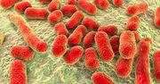 Antybiotyk na groźną bakterię. Do odkrycia przyczyniła się AI