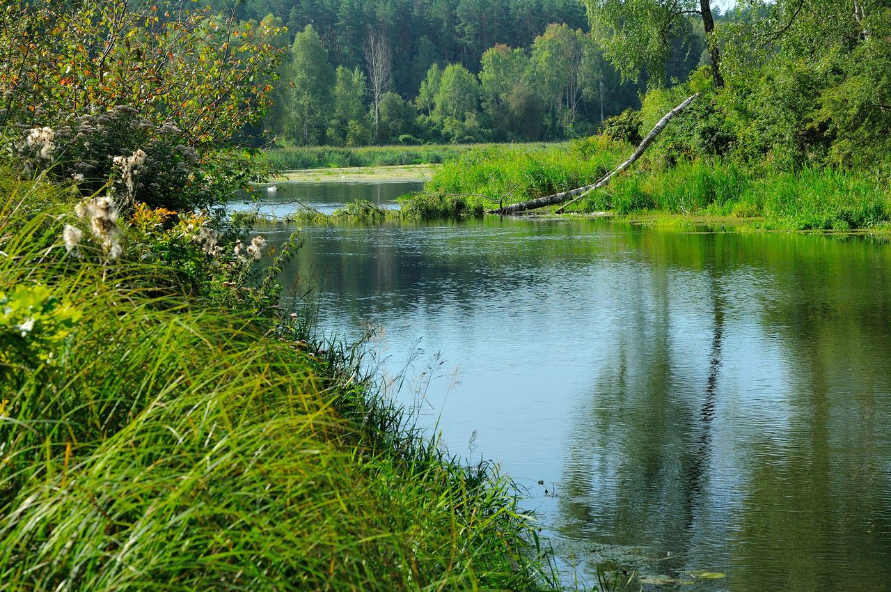 Koszą dno rzeki. "Mogą wystąpić utrudnienia"