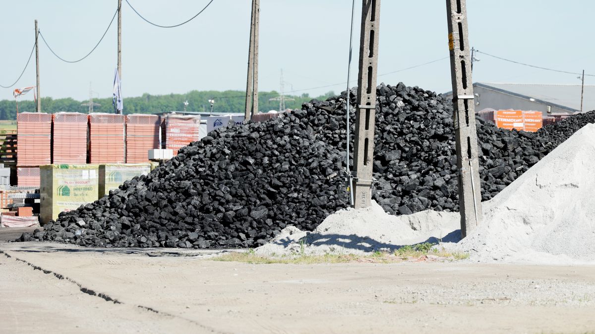 ponad połowa badanych obawia się, że będzie miała problemy z ogrzaniem domu lub mieszkania w tym sezonie grzewczym - pisze "Wyborcza" 