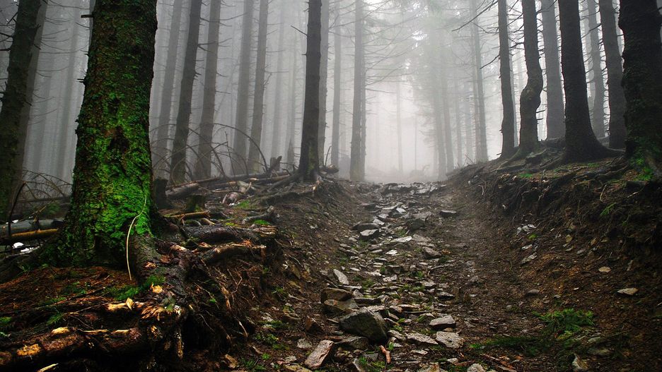 Warunki na szlakach są dobre, jednak zmienna pogoda odstraszyła turystów