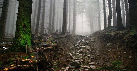 Beskidy. Niepewna pogoda odstraszyła turystów