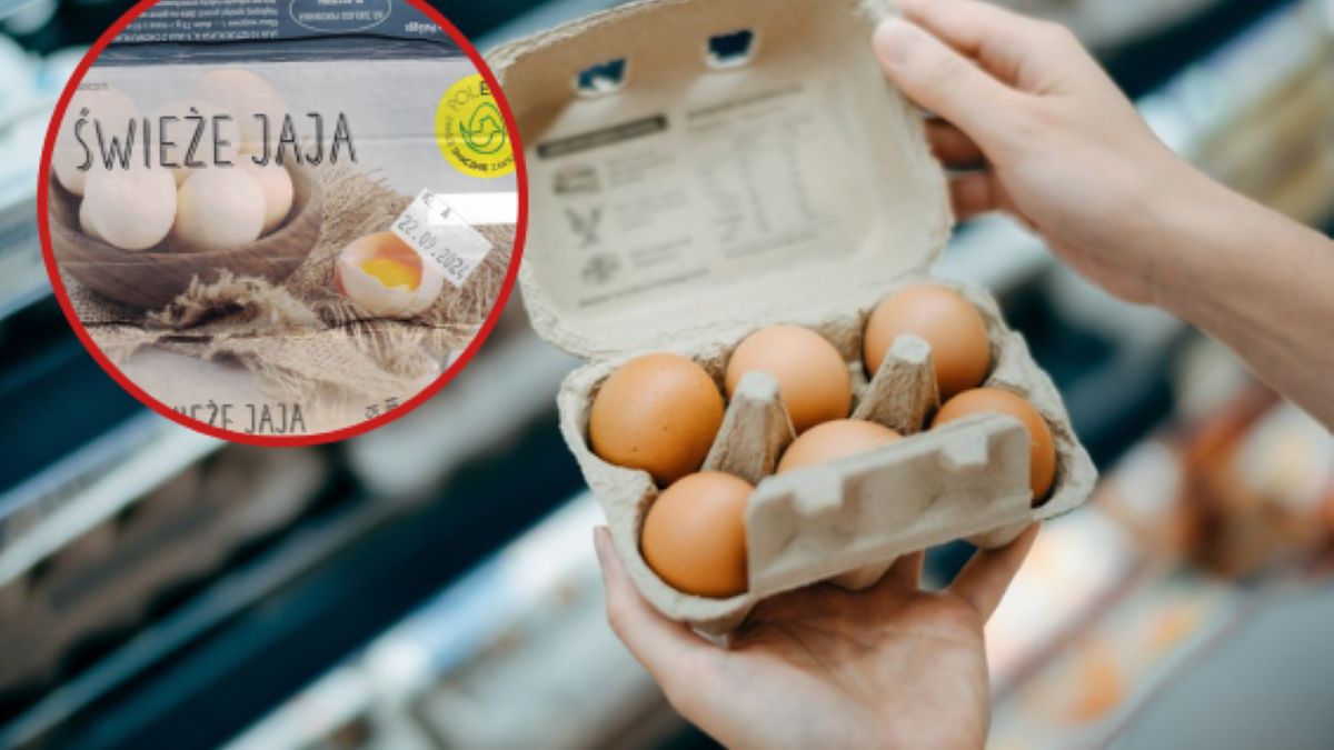 GIS ostrzega przed salmonellą w partii jaj. 