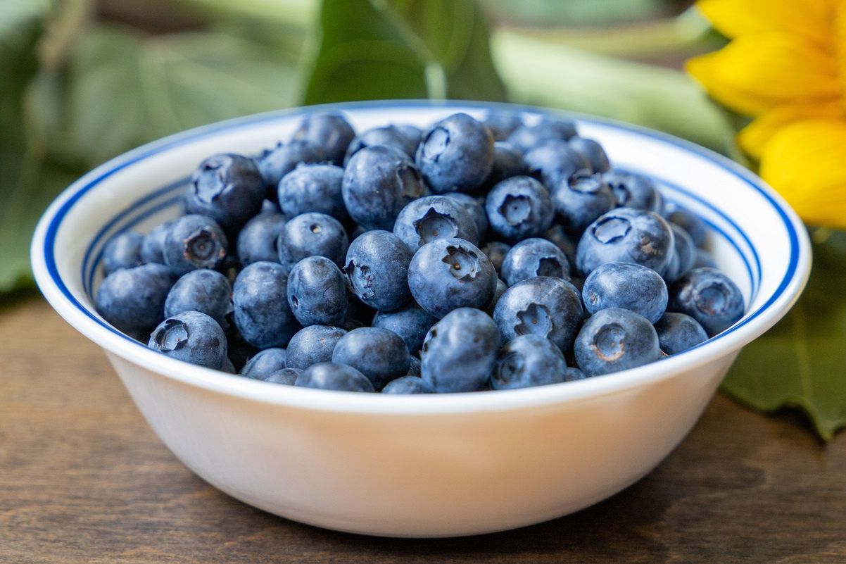 This is how blueberries affect the body. Few people are aware of the properties of these fruits.