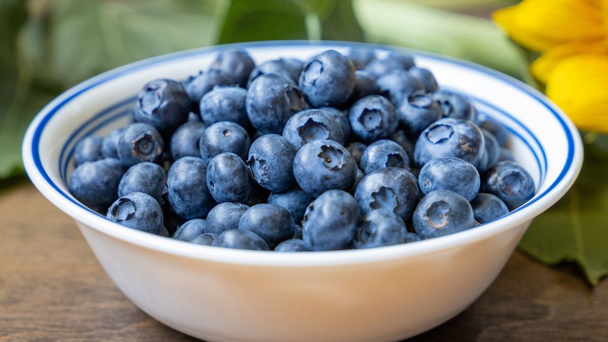 Tak borówki wpływają na organizm. Mało kto ma świadomość właściwości tych owoców