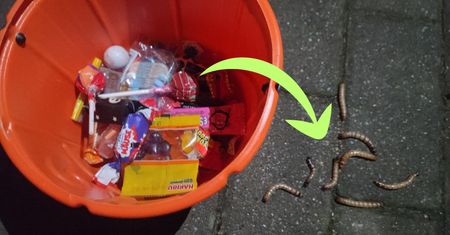 Szok na Halloween w Gdańsku. Zamiast słodyczy dostali to. "Zaczęło się ruszać"