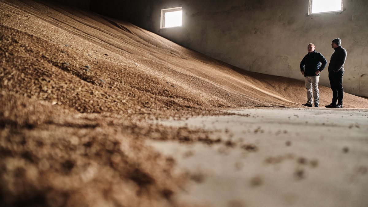 Zakaz importu zboża z Ukrainy. Bruksela potwierdza, że jest nowe porozumienie