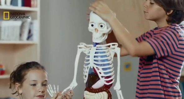 Wydawnictwo RBA promuje kolekcję "Ciało Człowieka"