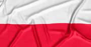 Uroczystości patriotyczne w kwietniu