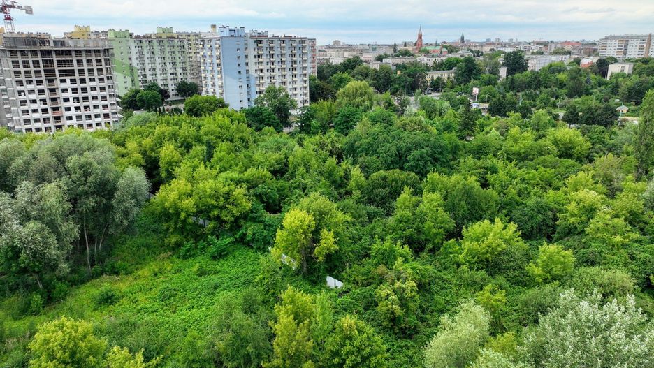 Na łazarzu powstanie nowy park? Tego chcą społecznicy i mieszkańcy.
